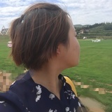 法桐and就是