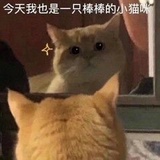 鱼鱼鱼