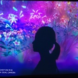 风一样