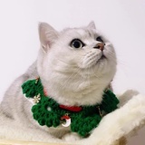 鱼鸡腿