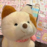 风信子