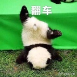 哎呀