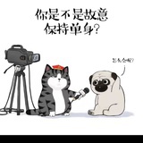 烟火里的尘埃
