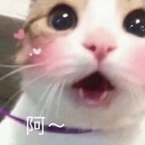 王卿徵