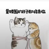 李豆豆