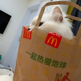 麦旋风