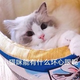 三分糖加冰谢谢