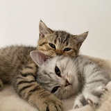 总是让人有安全感