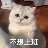 吧啦羡