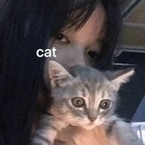 小白