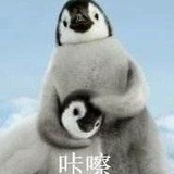 定春