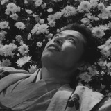 自由得一无所有