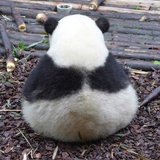 竹子
