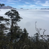 豆豆