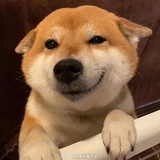 苏糖子心