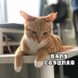 QQ发财