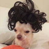 豆友625273847