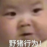 兔子啃不动胡萝