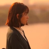 橙柿金黄