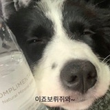 尹率（恋爱版）