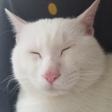 暗戳戳的阿姨