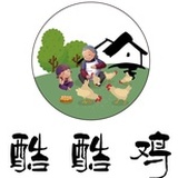 酷酷鸡