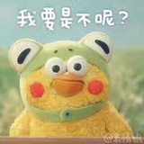 源源呀