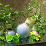 睛耕雨读