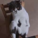 侯文