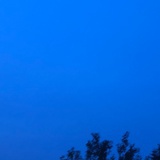 低头哇