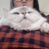 入眠困难户