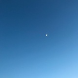 长不大的小孩几