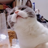 失踪的小情绪