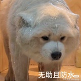 豆友189688050