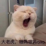 卷心菜菜心