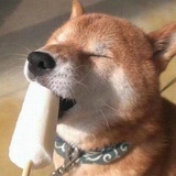 湫湫湫的