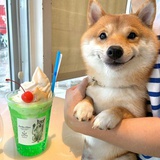 莫里莫西莫多