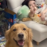 没心没肺是我