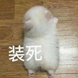 小虎先生