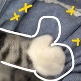 19喵喵喵00