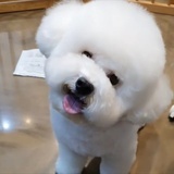 可以不取名字吗