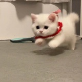 玄心奥妙诀