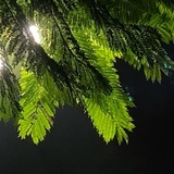 MTU7
