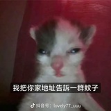 哒咩(脱裤子版