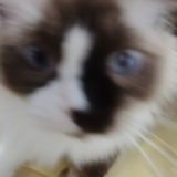 小李小李不讲理