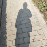 兰亭絮