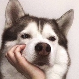 缺氧牛马