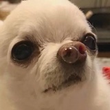 栖定定啊