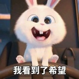 兔子兔子兔子牙