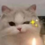 听昼